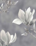 Halbverdunkelungsvorhang ARON